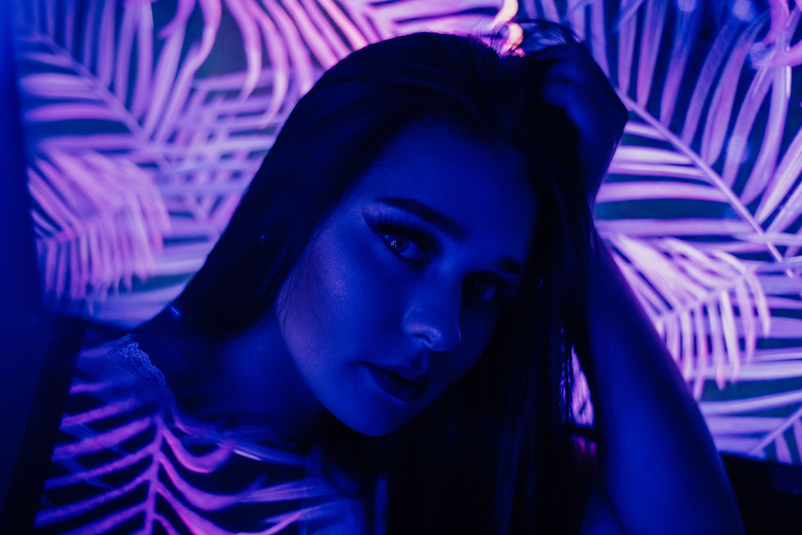 Full Screen Video Background Gutenslider