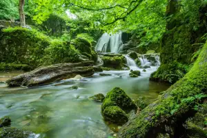 Mossy forest waterfall