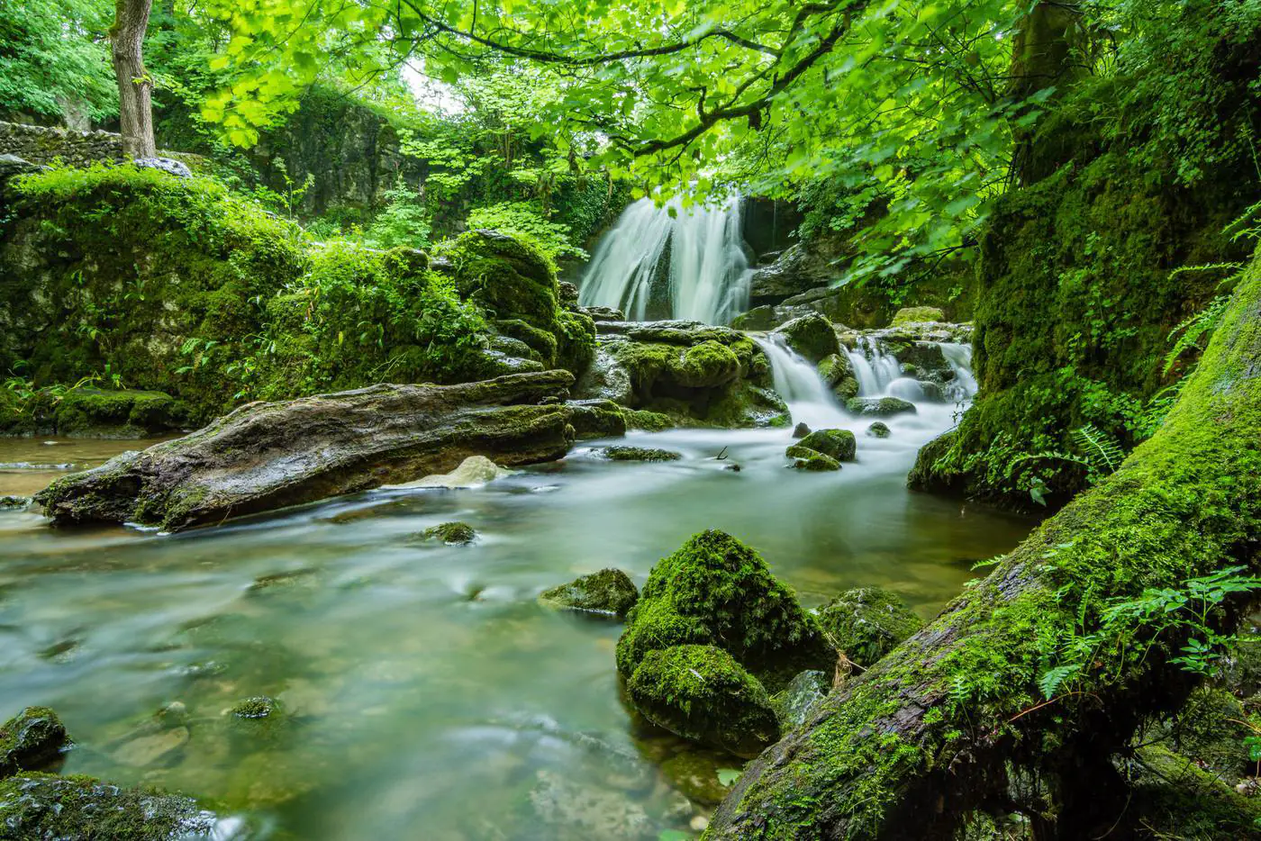 Mossy forest waterfall