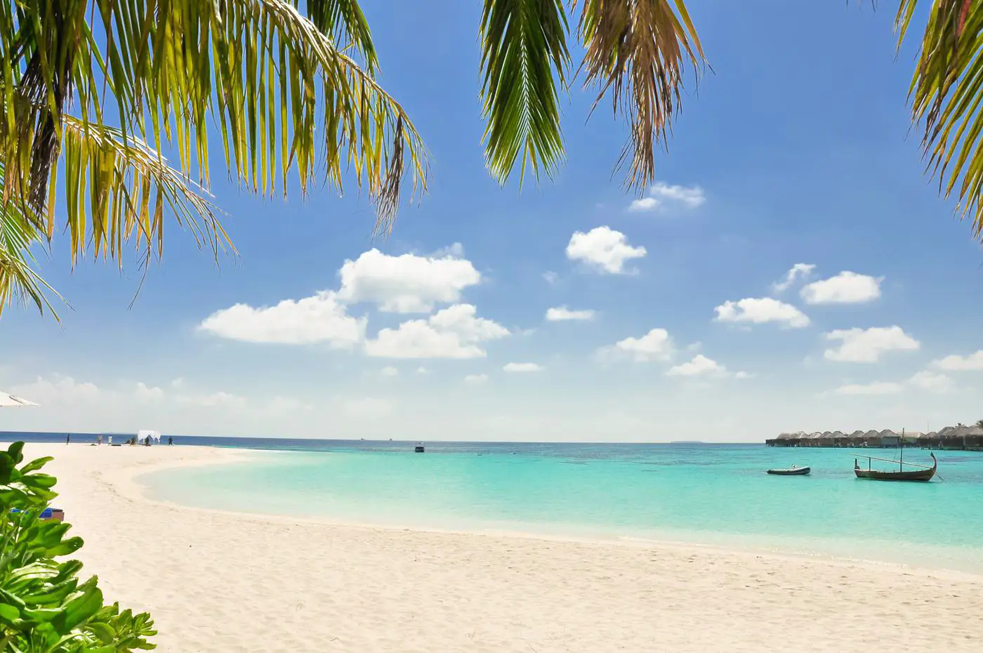 Tropical beach under palm leaves