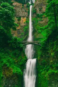 Waterfall and footbridge in the forest