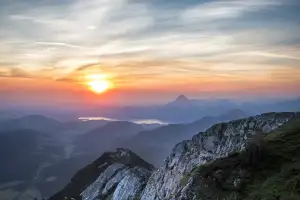 Wildflowers on a mountain at sunset